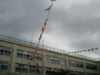 2011-10-23 08.50.46.jpg