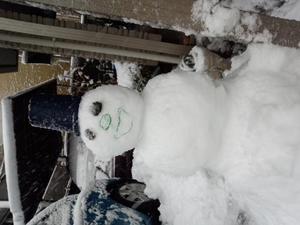 C360_2013-01-14-14-58-41_org.jpg